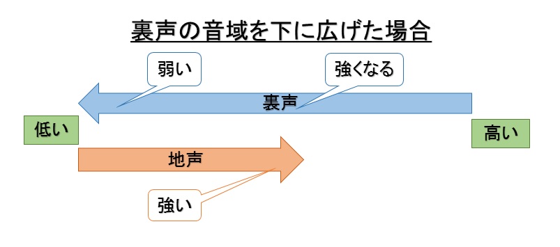 弱々しい裏声を芯のある裏声に鍛える５つの手順 京都の論理的なボイストレーニング教室 Logivo